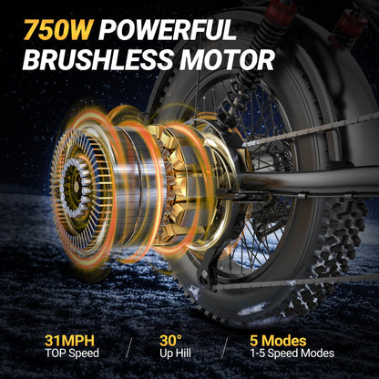 Refurbished Qlaway BK20 for Adults 48V 15.6AH Battery 750W Brushless Motor