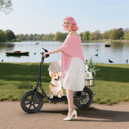 AOVOPRO ESBSPRO Electric Scooter with Seat, Foldable 500W 22.5Ah Battery 22mph